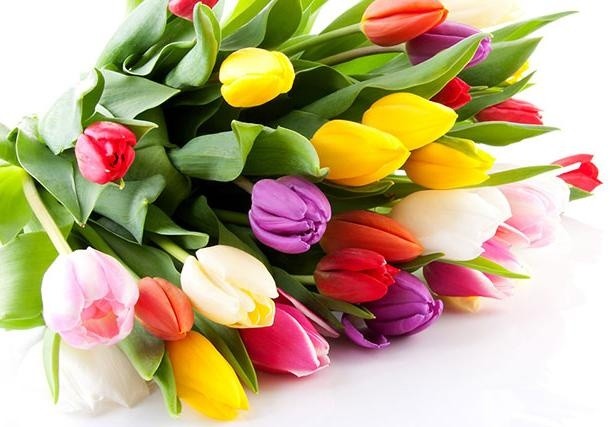 З Міжнародним жіночим днем  8 Березня!