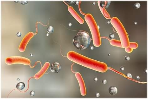 Що треба знати про холеру